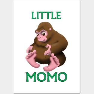 Little Momo Posters and Art